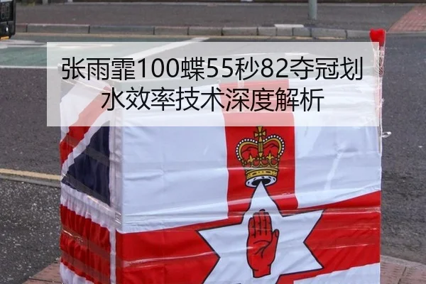 张雨霏100蝶55秒82夺冠划水效率技术深度解析
