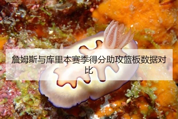 詹姆斯与库里本赛季得分助攻篮板数据对比