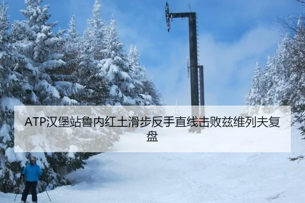 ATP汉堡站鲁内红土滑步反手直线击败兹维列夫复盘